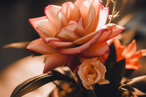 exemplo de imagem gerada por ia mostrando uma rosa com caule de lírio