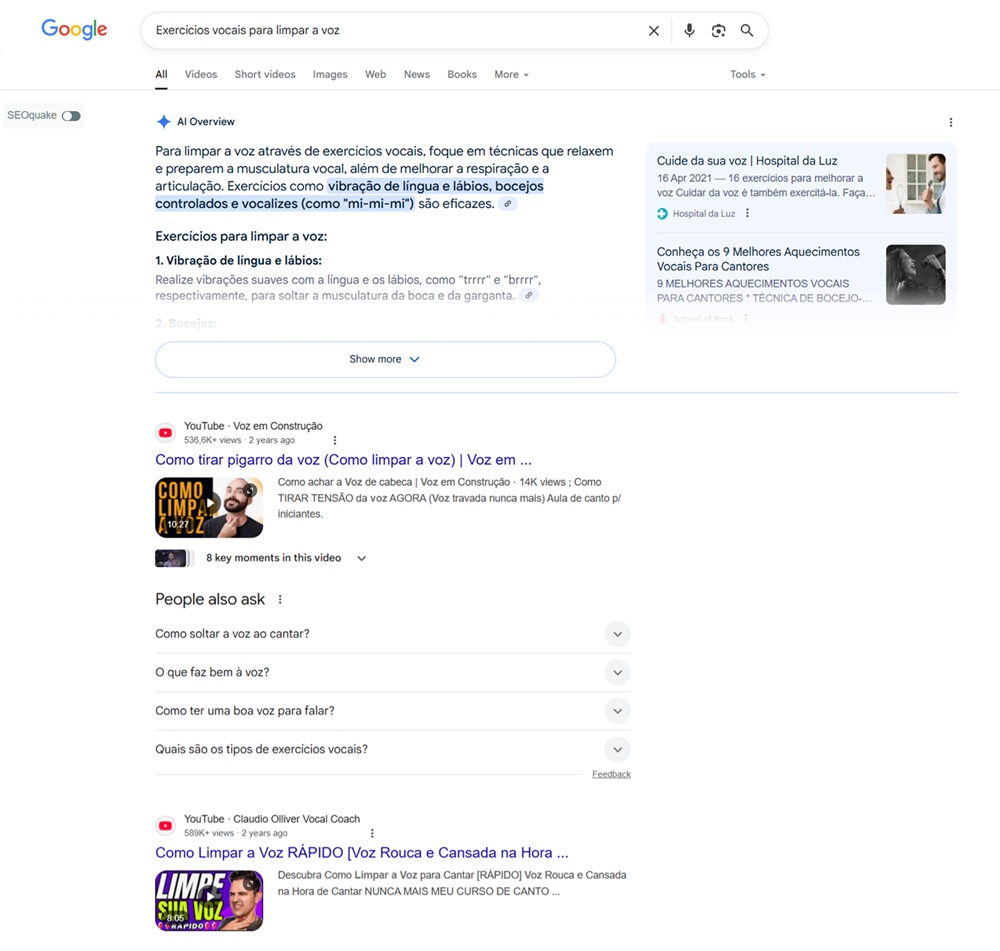 exemplo de resultado de vídeo na serp do google 