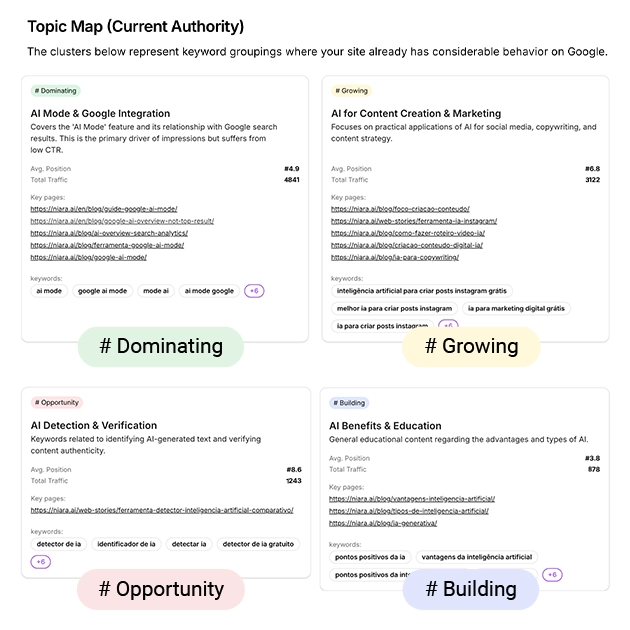 Example of cluster organization in the Authority Map