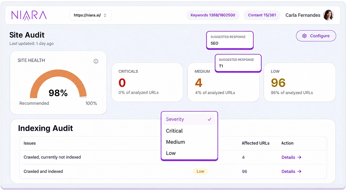 Niara's Site Audit (technical SEO agent)